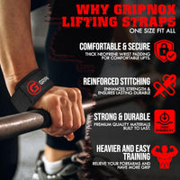 Lifting Straps